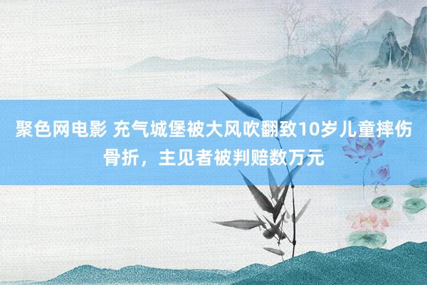 聚色网电影 充气城堡被大风吹翻致10岁儿童摔伤骨折，主见者被判赔数万元