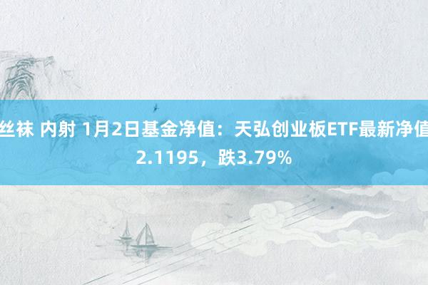 丝袜 内射 1月2日基金净值：天弘创业板ETF最新净值2.1195，跌3.79%