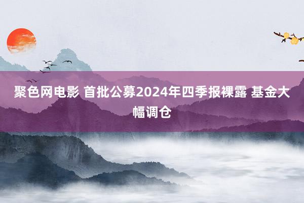 聚色网电影 首批公募2024年四季报裸露 基金大幅调仓