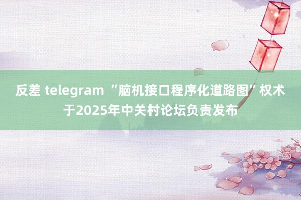 反差 telegram “脑机接口程序化道路图”权术于2025年中关村论坛负责发布