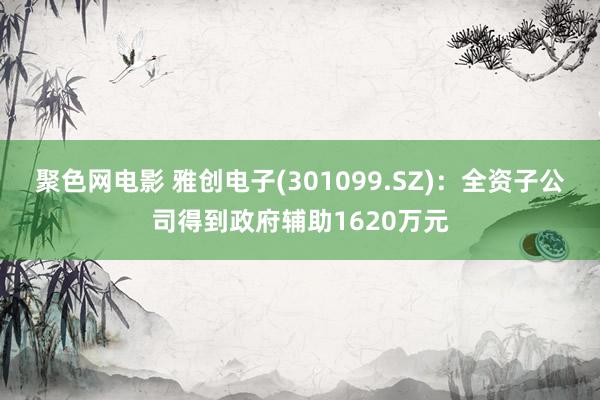聚色网电影 雅创电子(301099.SZ)：全资子公司得到政府辅助1620万元