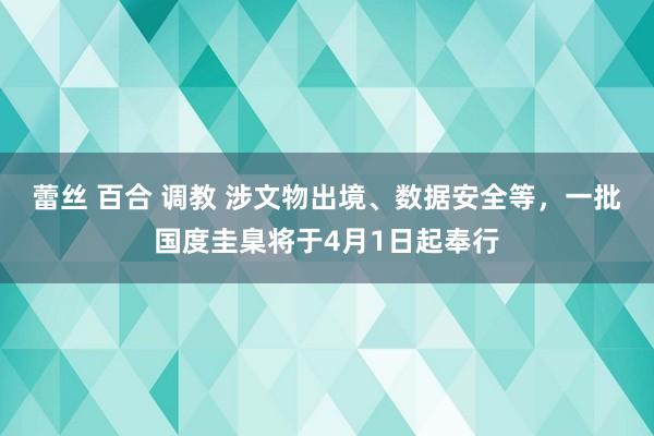 蕾丝 百合 调教 涉文物出境、数据安全等，一批国度圭臬将于4月1日起奉行