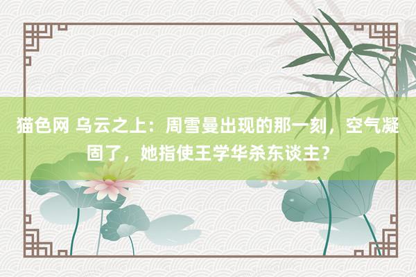 猫色网 乌云之上：周雪曼出现的那一刻，空气凝固了，她指使王学华杀东谈主？