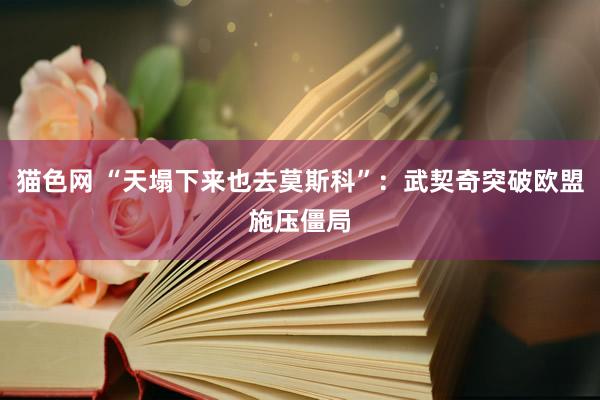 猫色网 “天塌下来也去莫斯科”：武契奇突破欧盟施压僵局